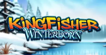 Kingfisher Winterborn