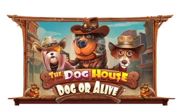 The Dog House – Dog or Alive